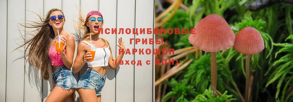 индика Бородино