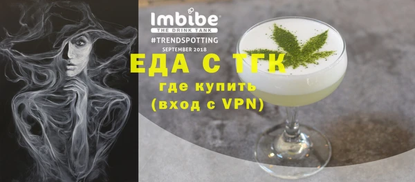 индика Бородино