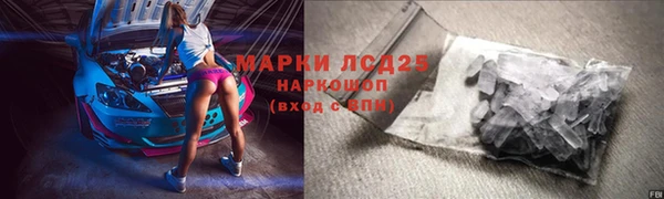 индика Бородино