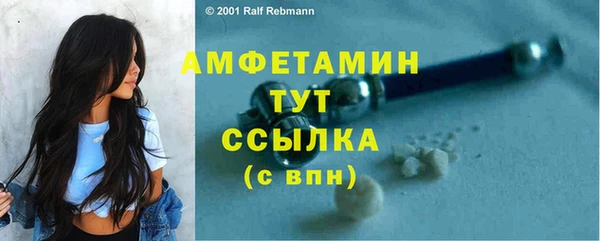 индика Бородино