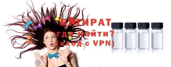 индика Бородино