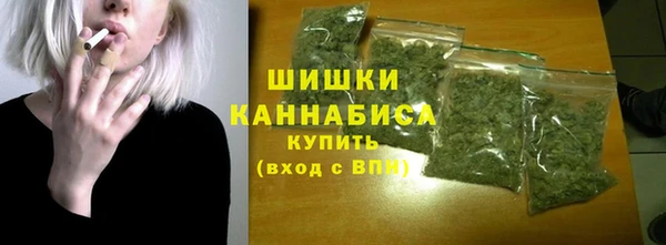 индика Бородино