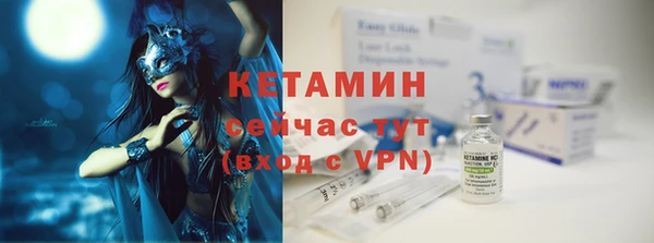 индика Бородино