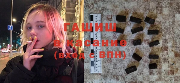 индика Бородино