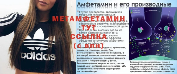 индика Бородино