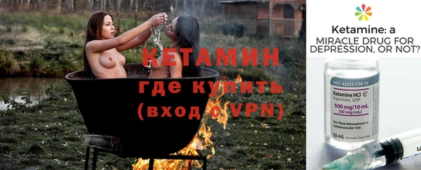 индика Бородино