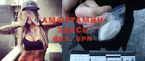 индика Бородино