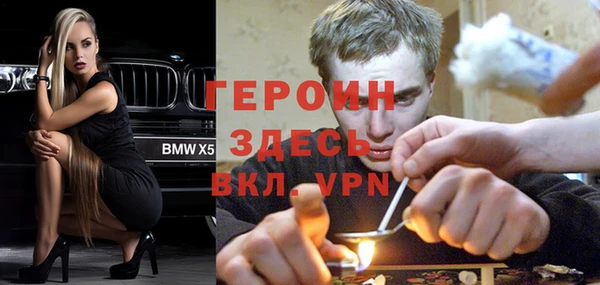 индика Бородино