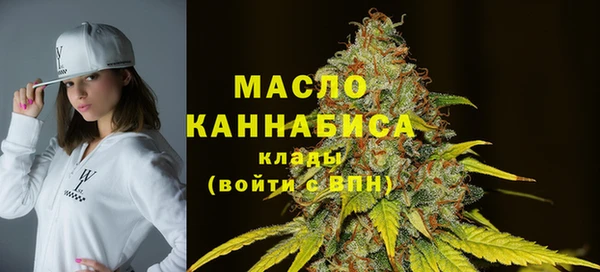 индика Бородино