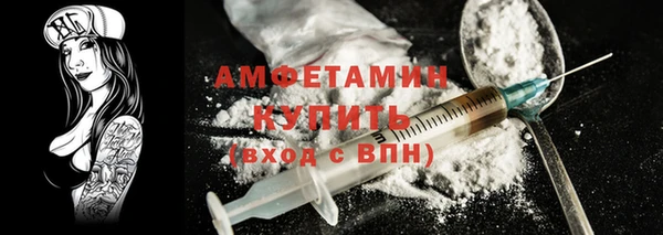 индика Бородино